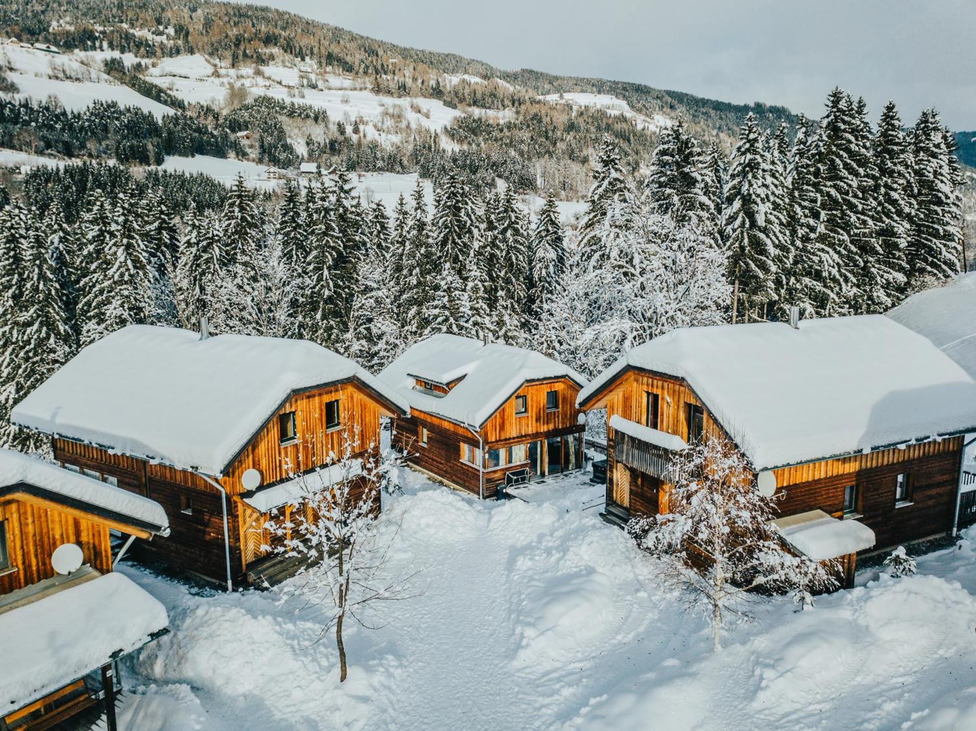 Вилла Woody Park Санкт-Георген-об-Мурау Экстерьер фото