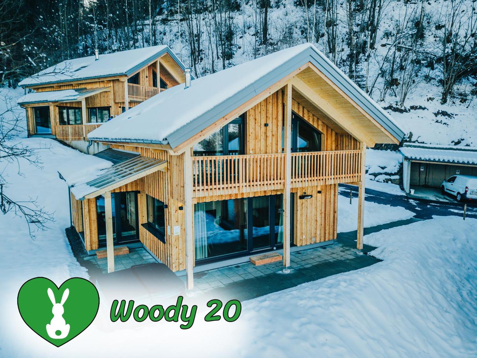 Вилла Woody Park Санкт-Георген-об-Мурау Экстерьер фото