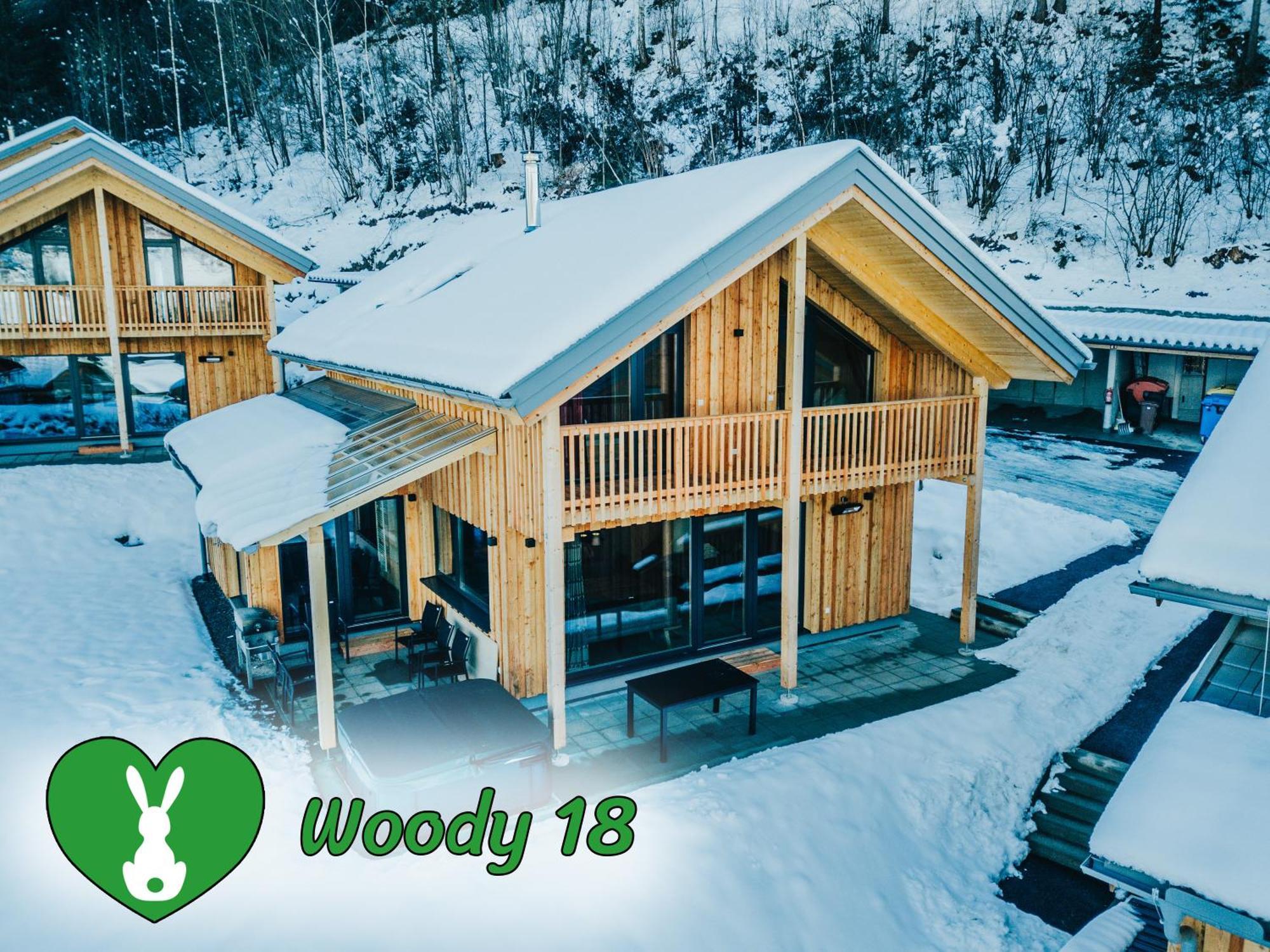 Вилла Woody Park Санкт-Георген-об-Мурау Экстерьер фото