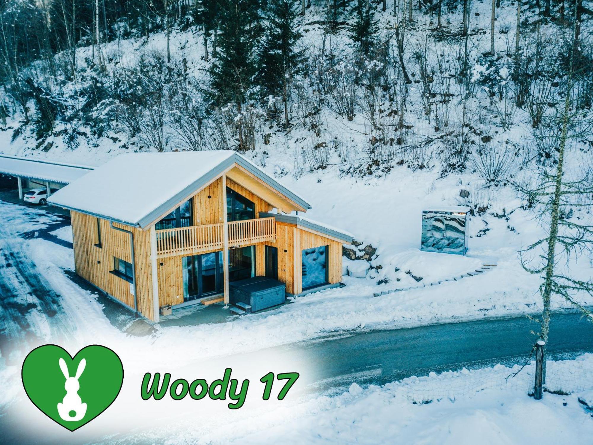 Вилла Woody Park Санкт-Георген-об-Мурау Экстерьер фото