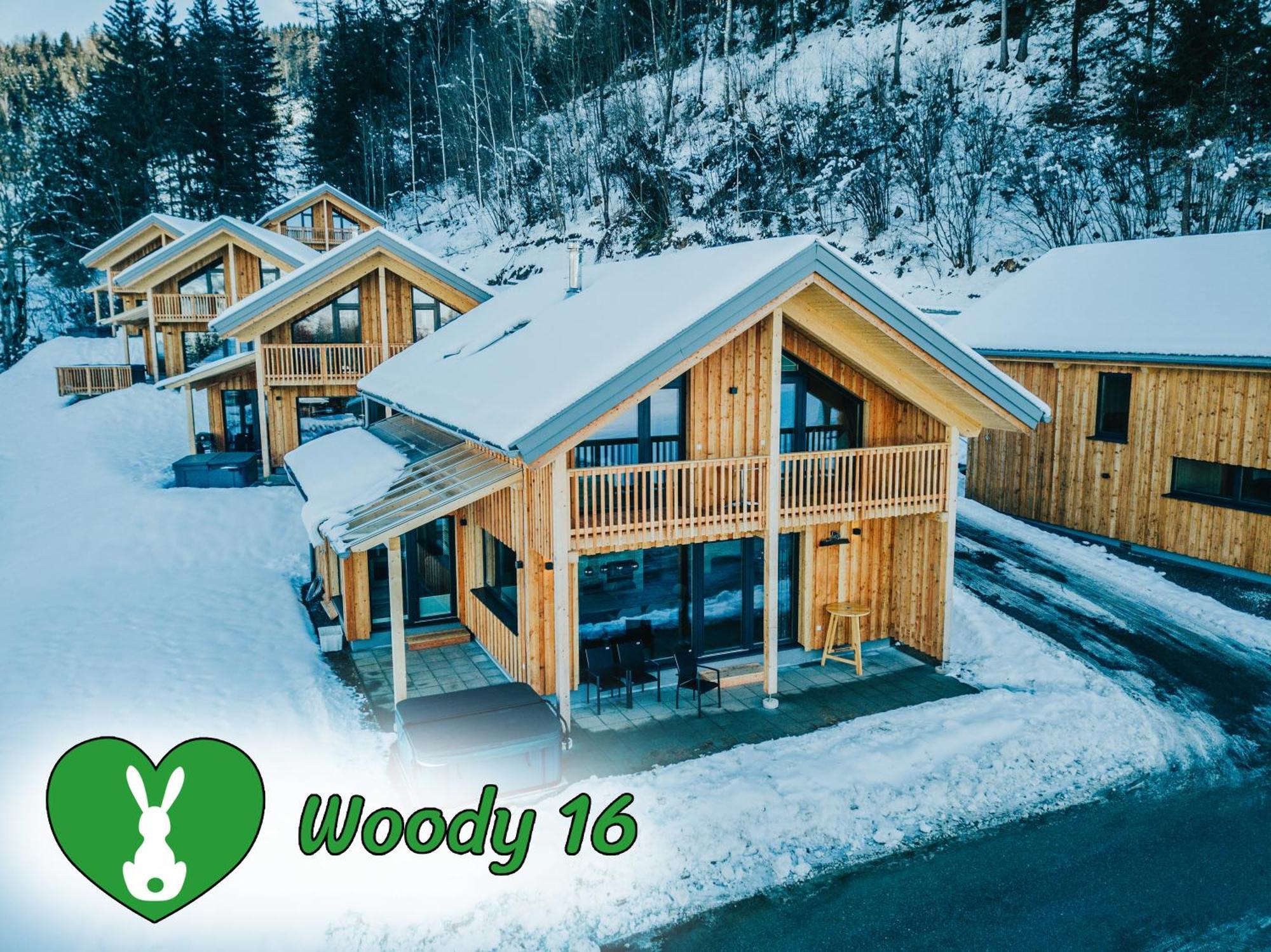 Вилла Woody Park Санкт-Георген-об-Мурау Экстерьер фото
