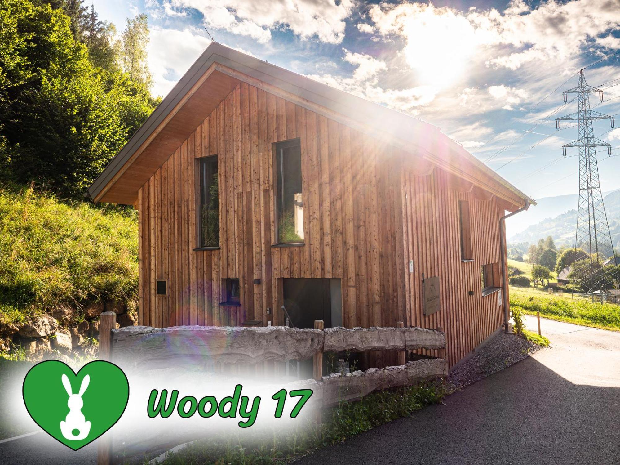 Вилла Woody Park Санкт-Георген-об-Мурау Экстерьер фото