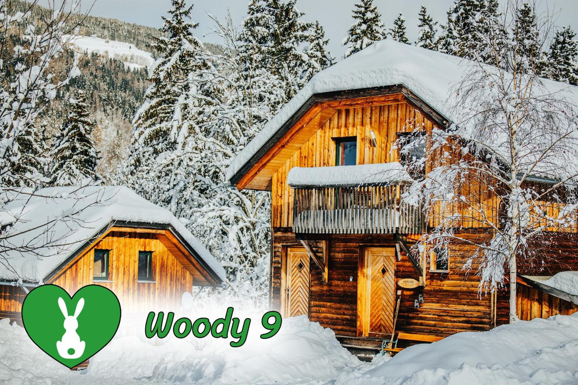 Вилла Woody Park Санкт-Георген-об-Мурау Экстерьер фото