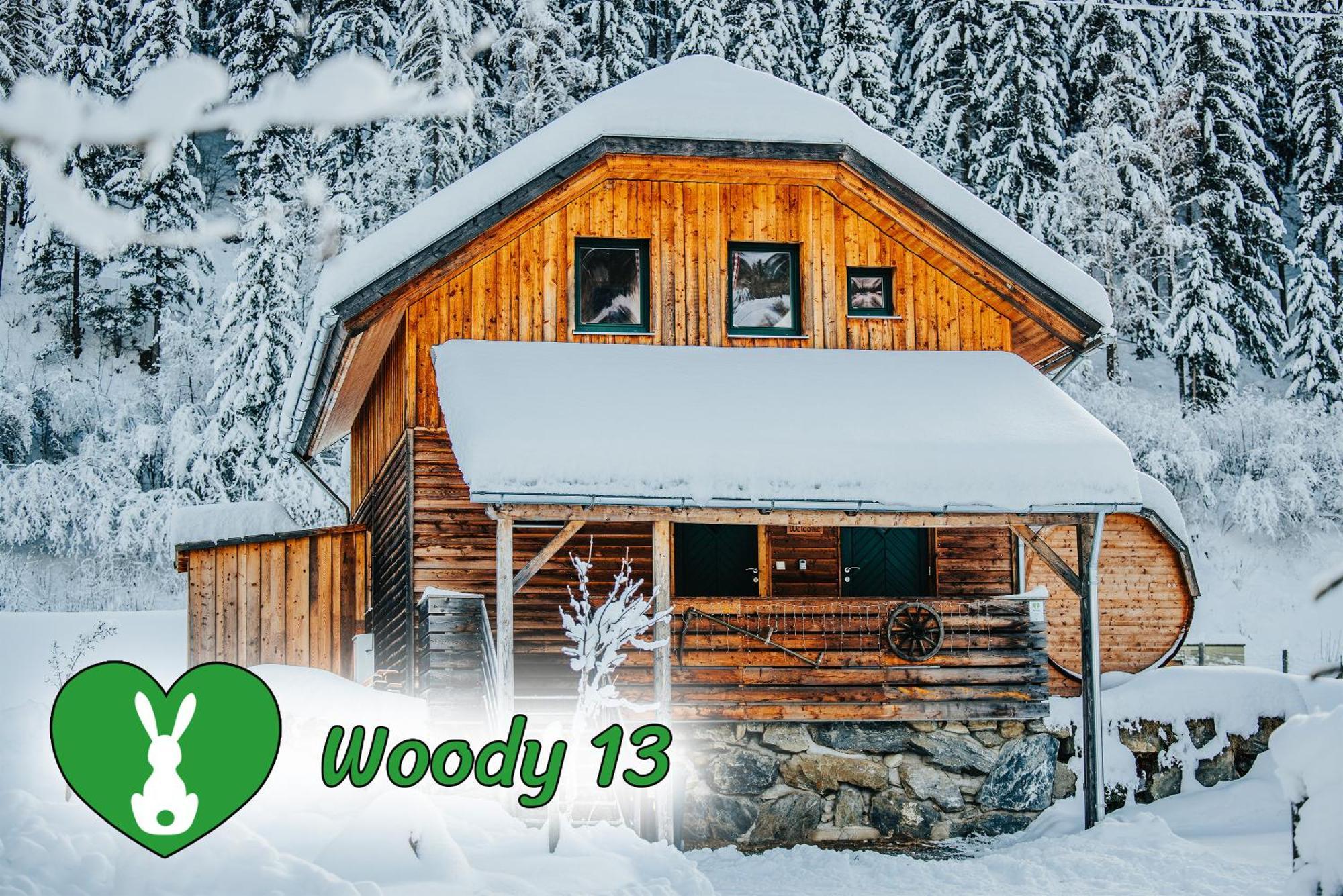 Вилла Woody Park Санкт-Георген-об-Мурау Экстерьер фото