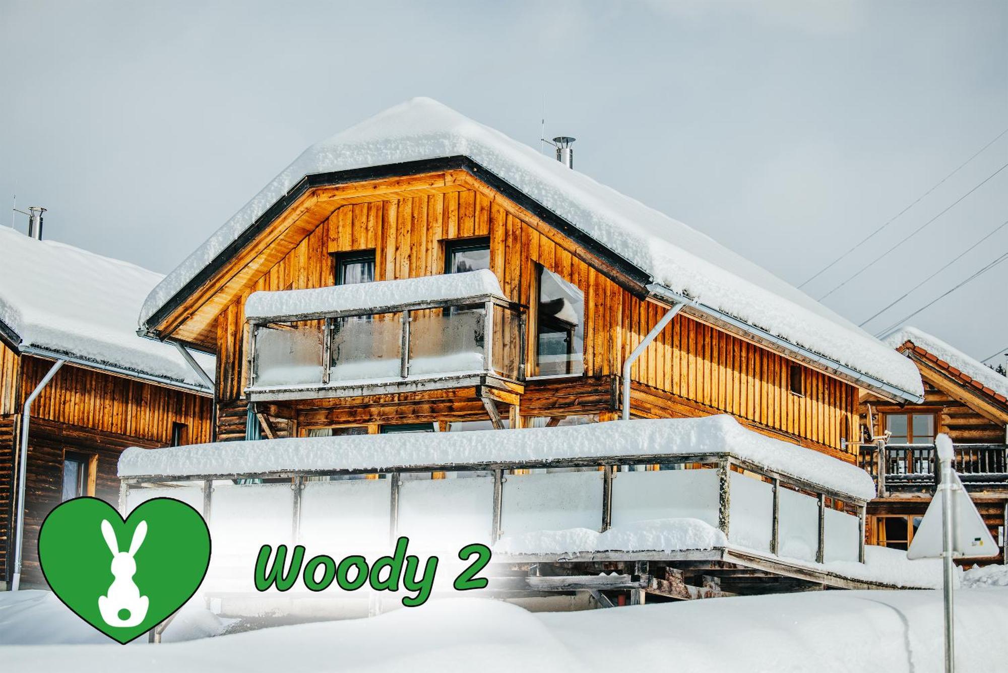 Вилла Woody Park Санкт-Георген-об-Мурау Экстерьер фото