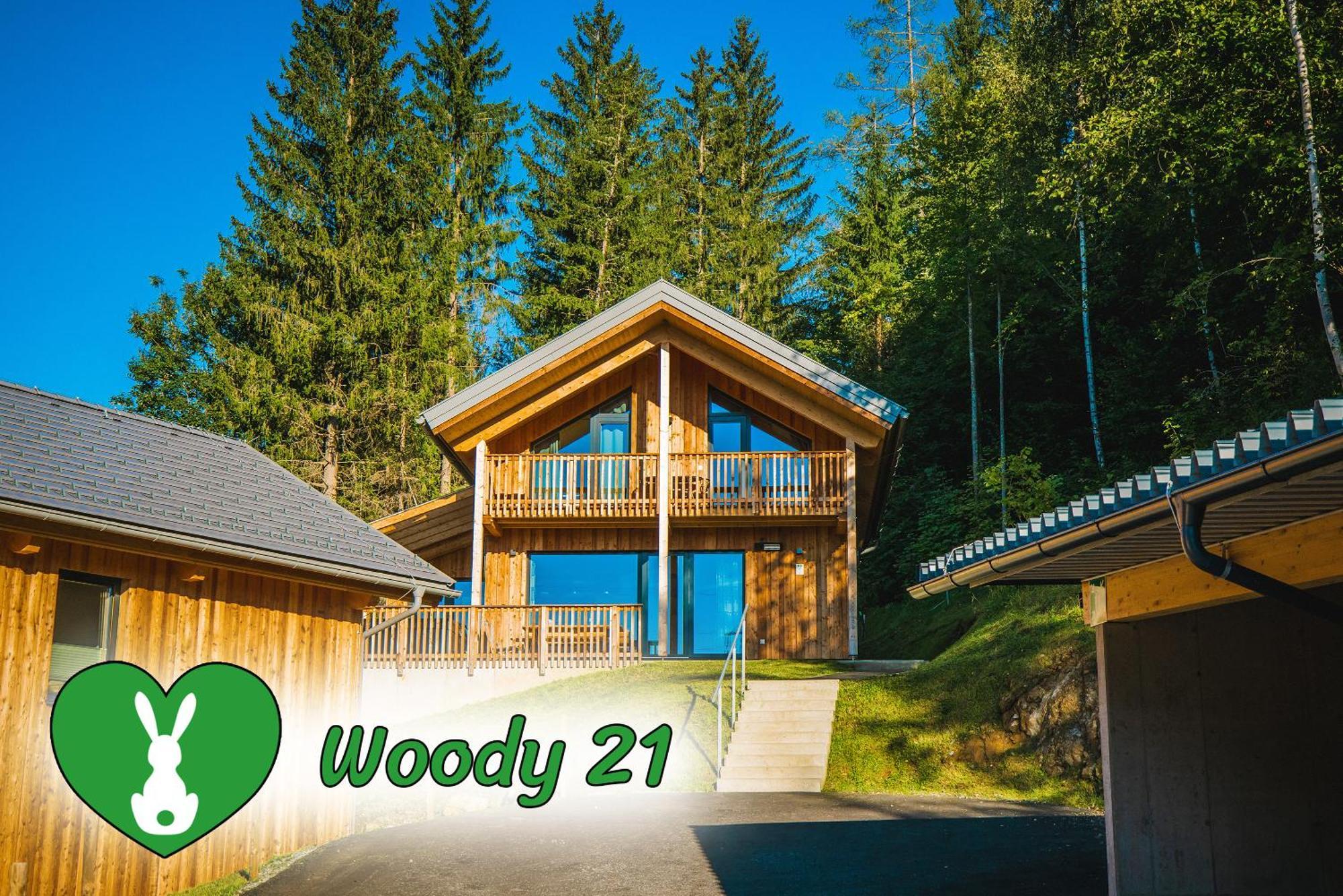 Вилла Woody Park Санкт-Георген-об-Мурау Экстерьер фото