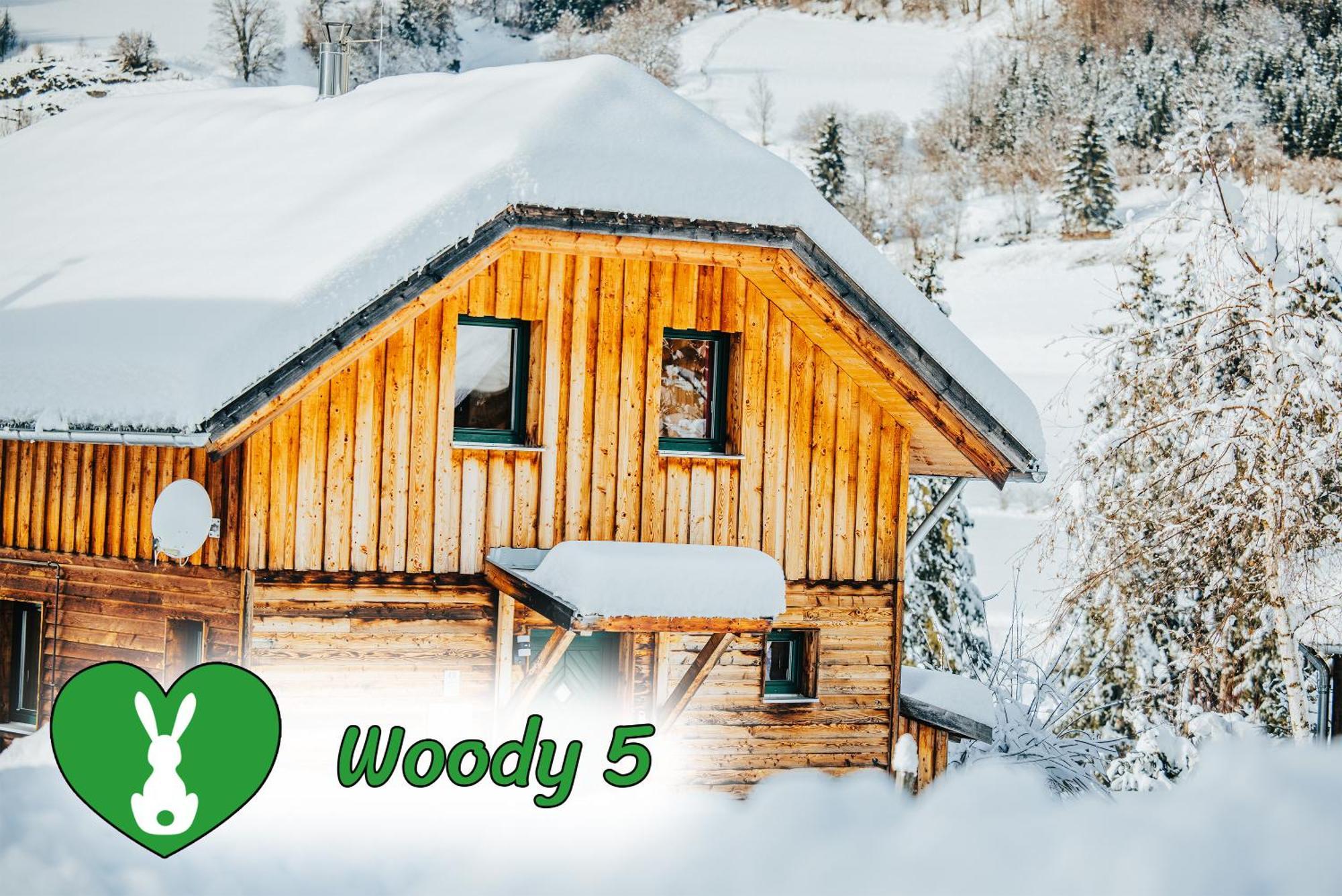 Вилла Woody Park Санкт-Георген-об-Мурау Экстерьер фото