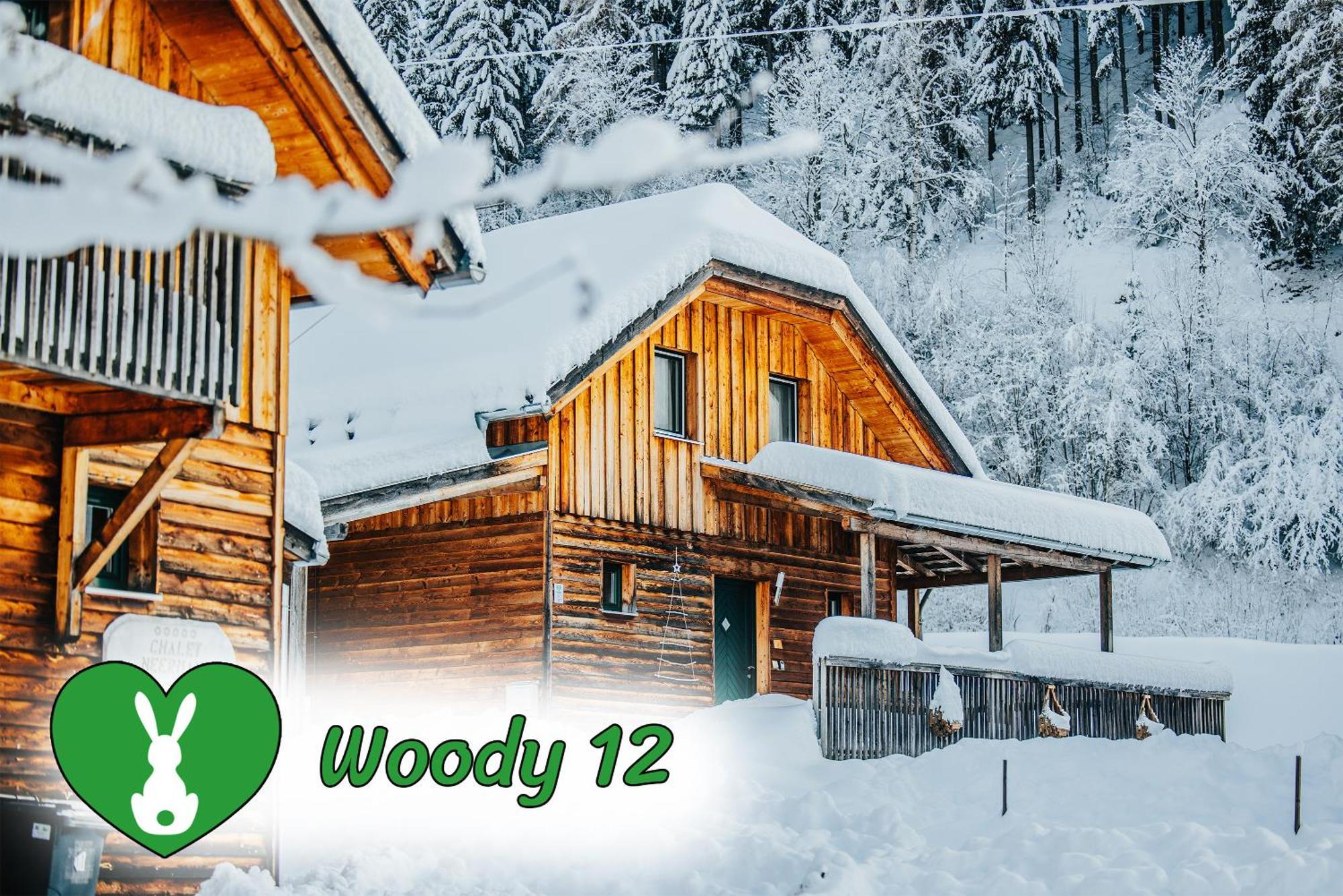 Вилла Woody Park Санкт-Георген-об-Мурау Экстерьер фото